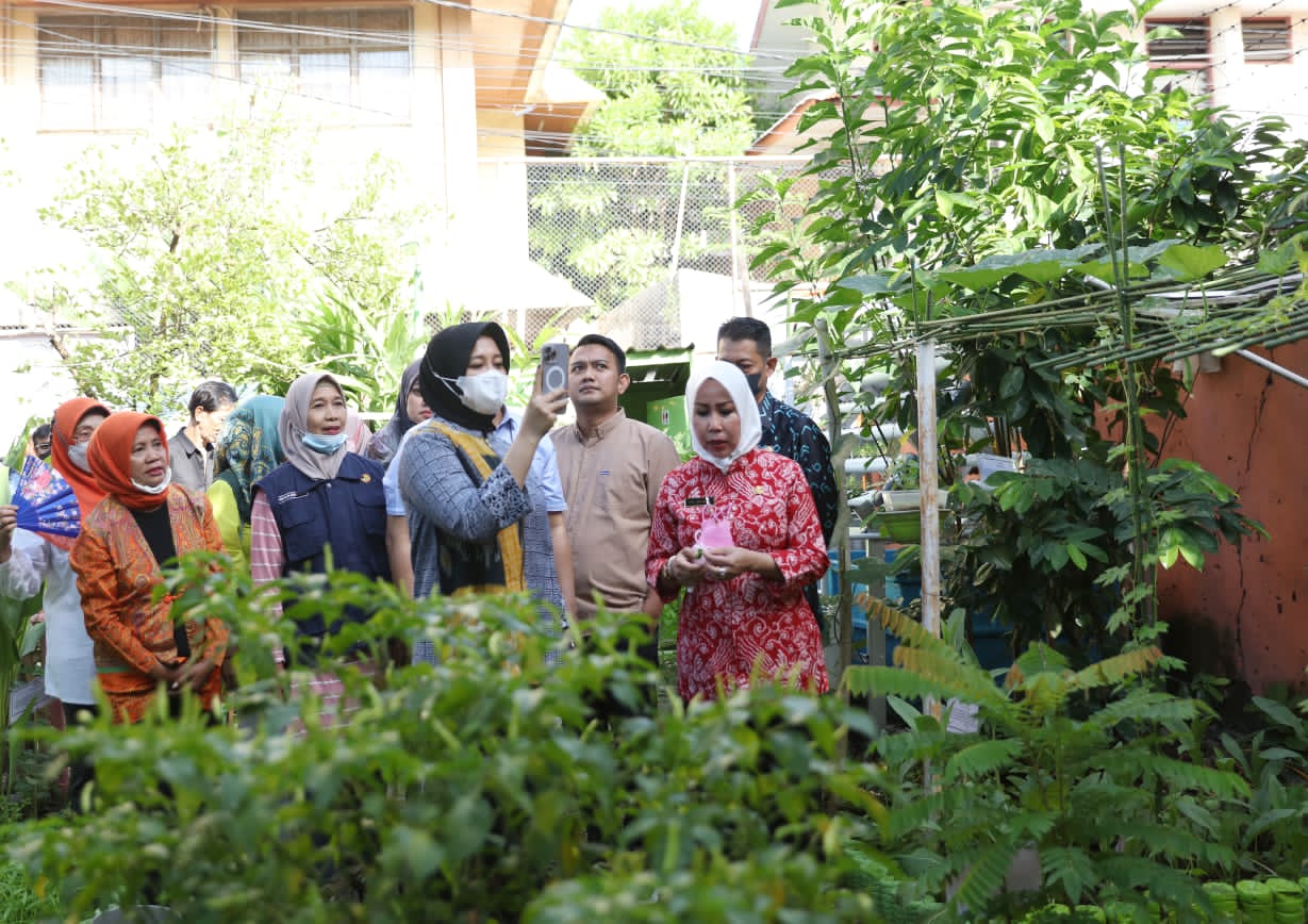 Tinjau Lorong Wisata di Jalan Sungai Pareman, Wakil Wali Kota Pastikan Kebutuhan Kelompok Tani Terpenuhi 